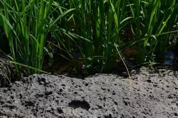 首页| 4002cc永利集团中国区官方网站